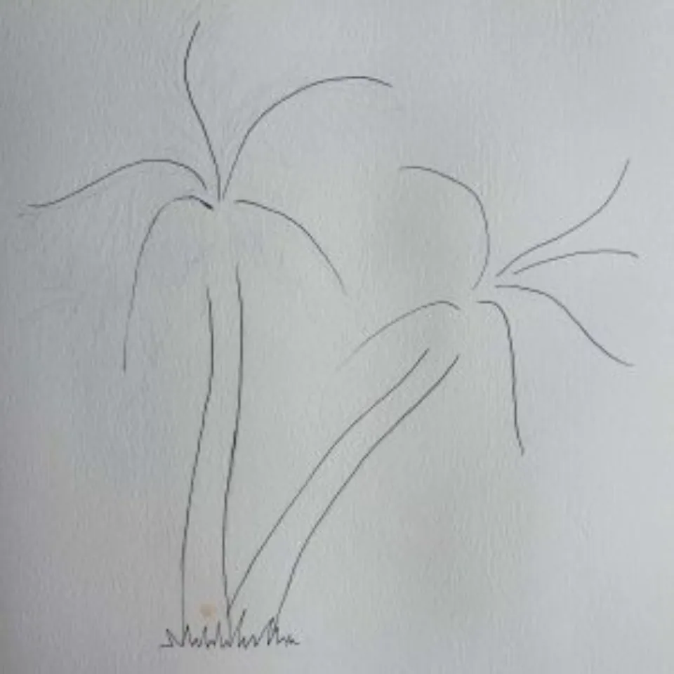 How to Draw a Palm Tree Step-by-step Guide