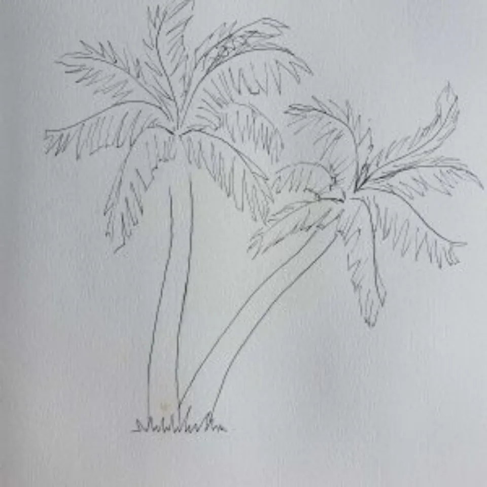 How to Draw a Palm Tree Step-by-step Guide