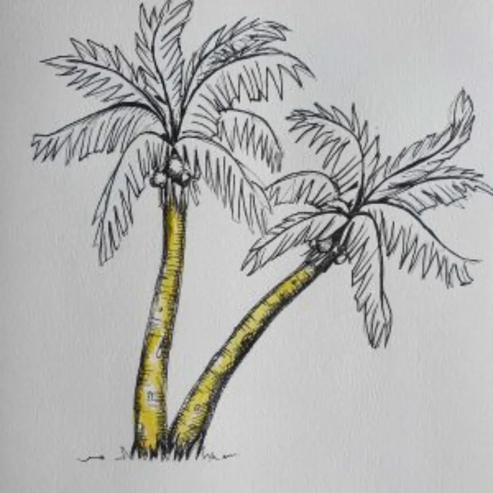 How to Draw a Palm Tree Step-by-step Guide