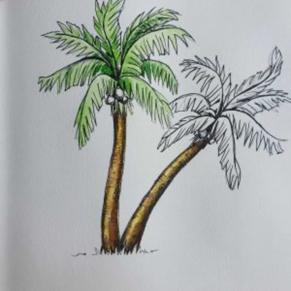 How to Draw a Palm Tree? Step-by-step Guide