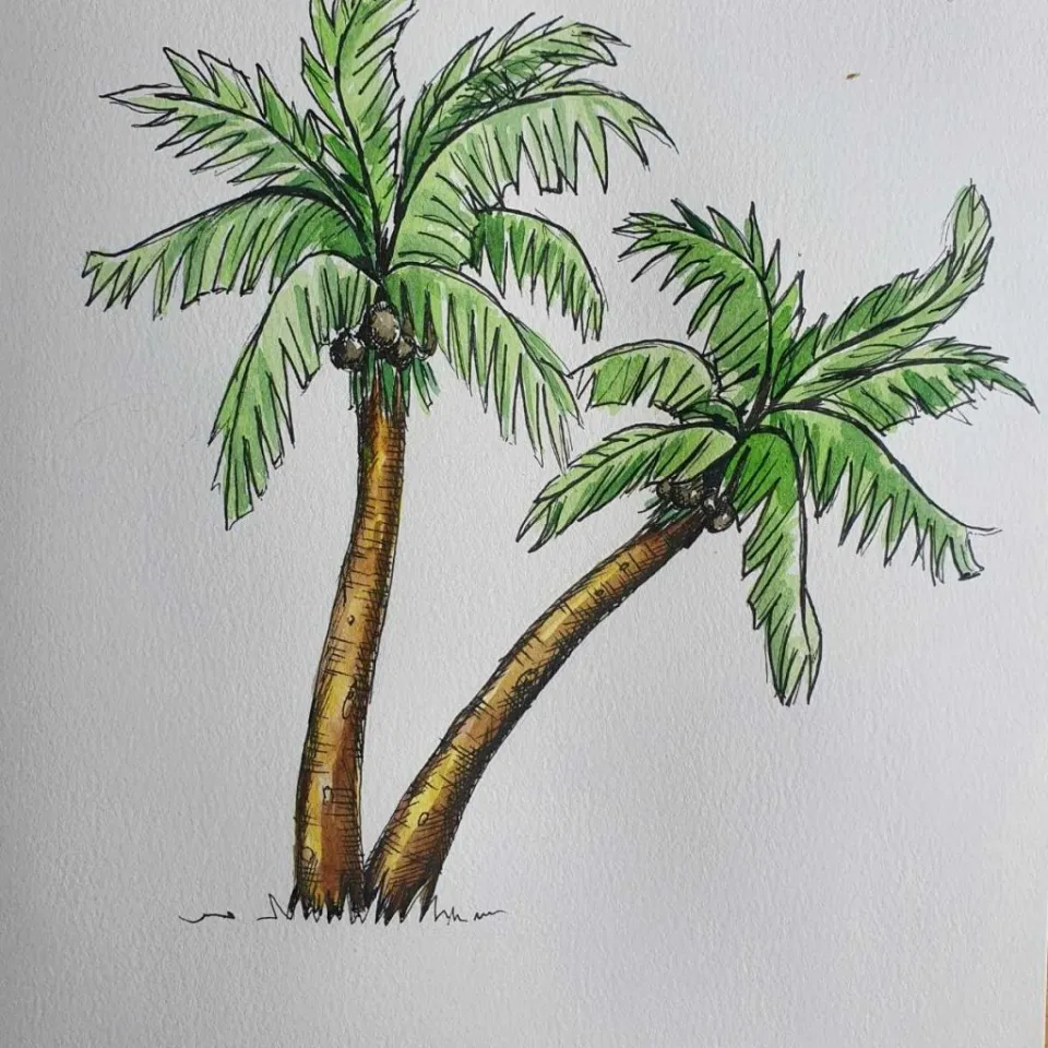 How to Draw a Palm Tree? Step-by-step Guide