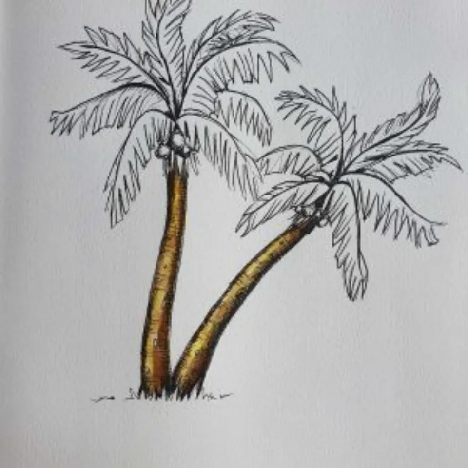 How to Draw a Palm Tree? Step-by-step Guide