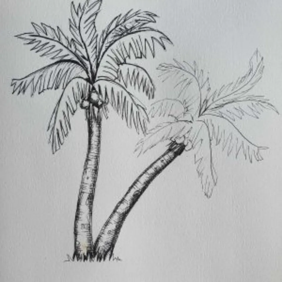 How to Draw a Palm Tree? Step-by-step Guide